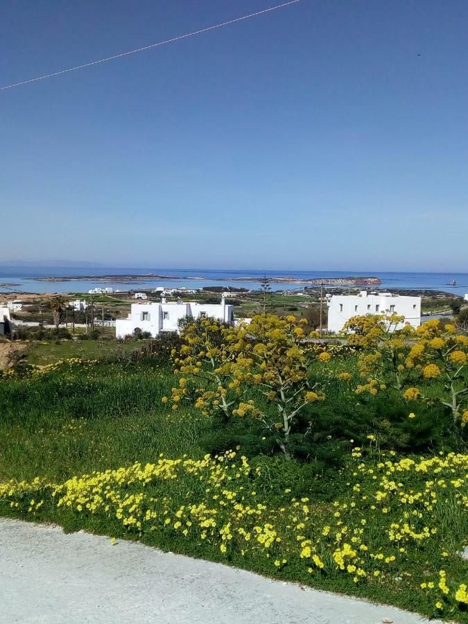 Traditional House Paros Sarakiniko  ภายนอก รูปภาพ