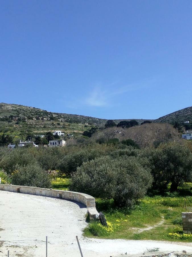 Traditional House Paros Sarakiniko  ภายนอก รูปภาพ