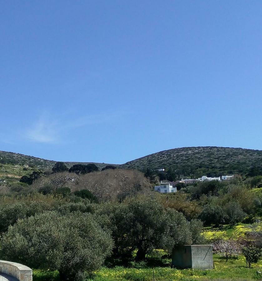 Traditional House Paros Sarakiniko  ภายนอก รูปภาพ